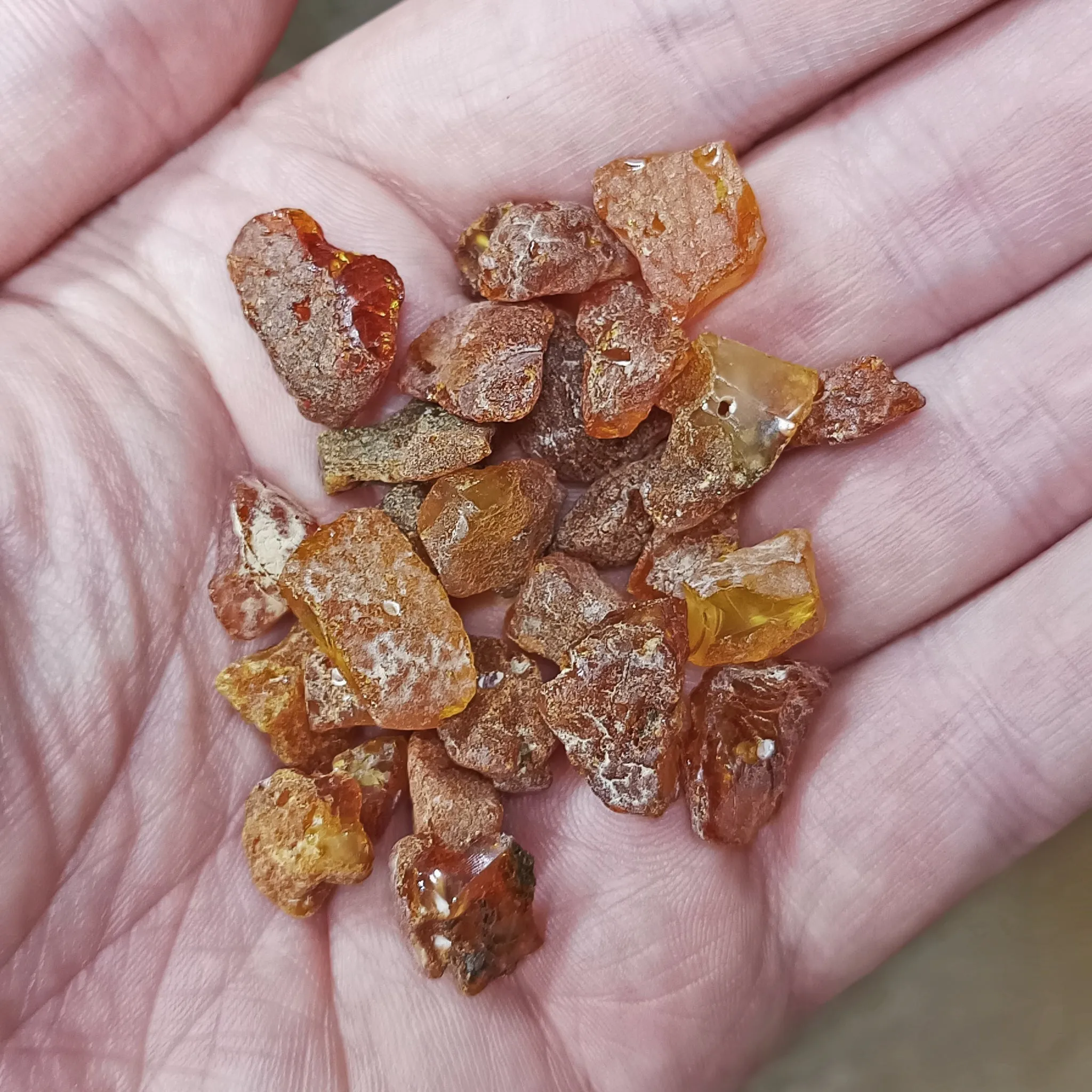 Amber Chips with Drilled Holes