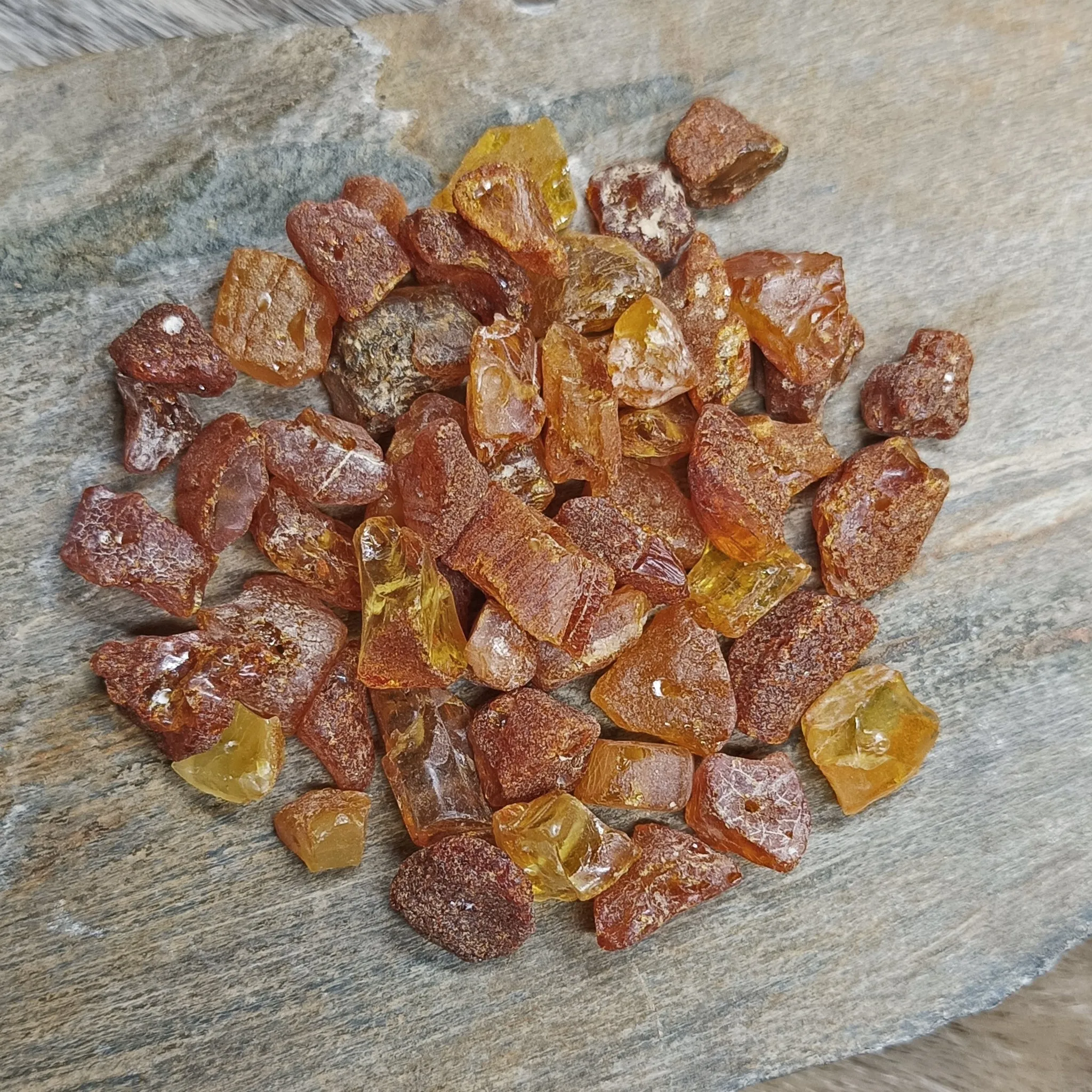 Amber Chips with Drilled Holes