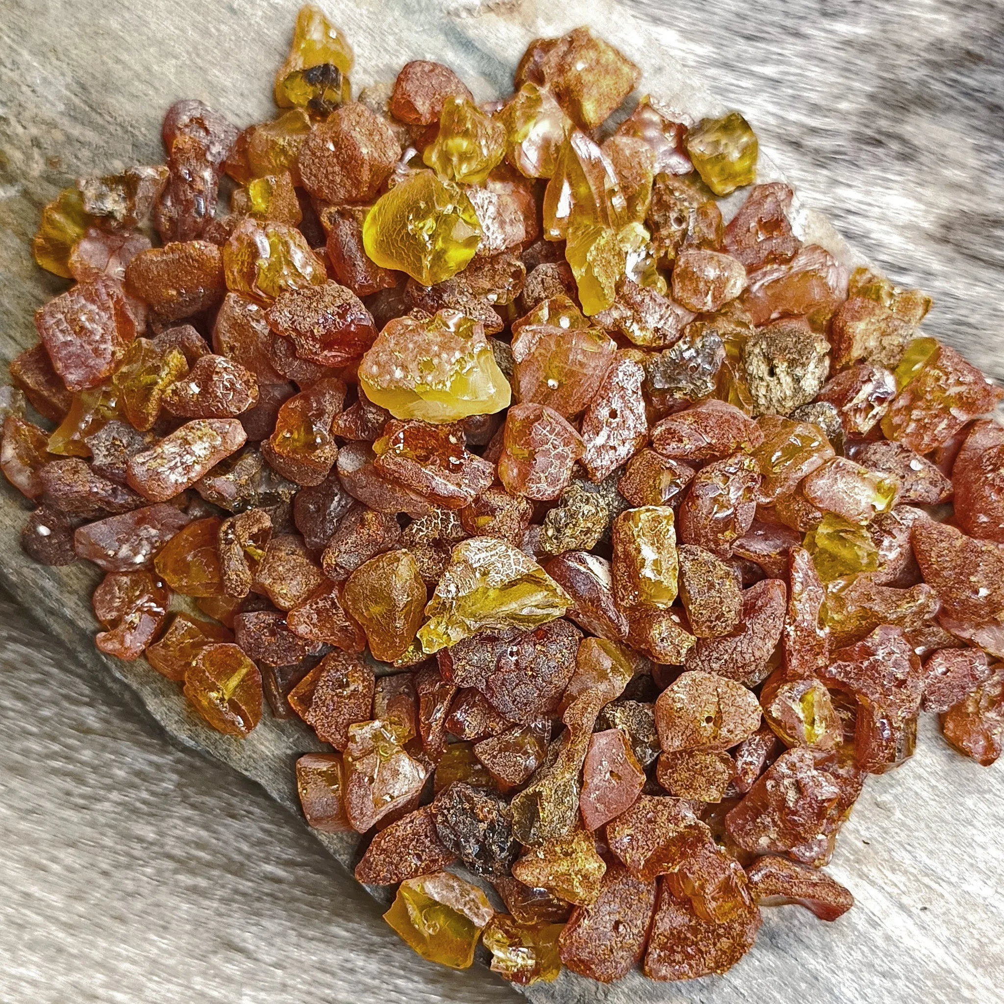 Amber Chips with Drilled Holes