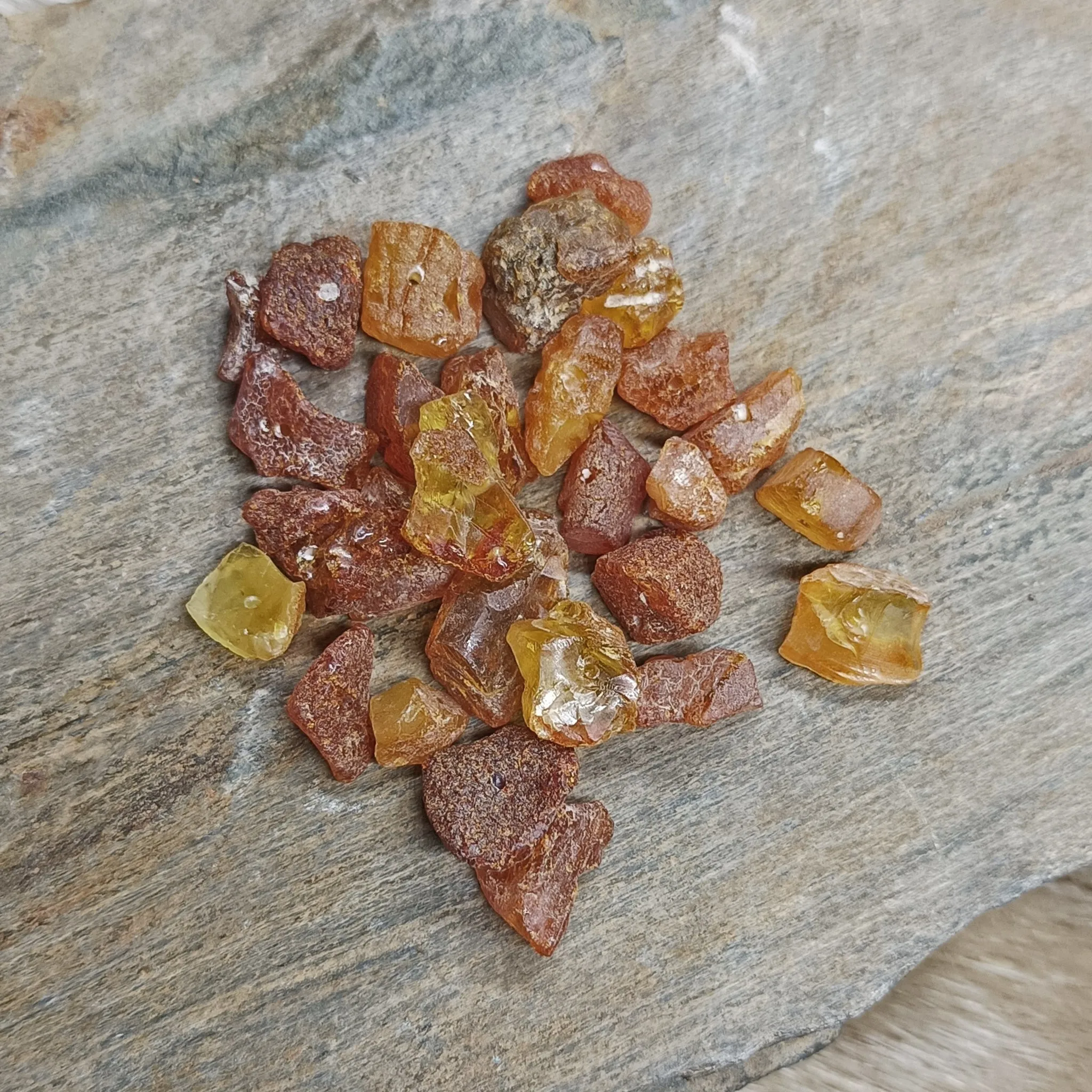 Amber Chips with Drilled Holes