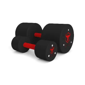 Cerakote Dumbbells - Customer's Product with price 2785.00