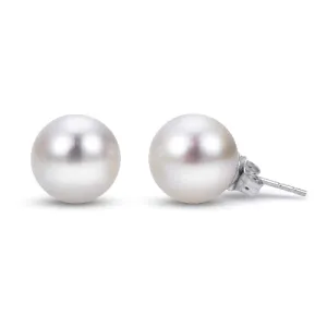 Freshwater Pearl Stud Earrings