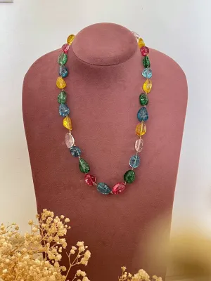 Multi Colored Beaded Necklace